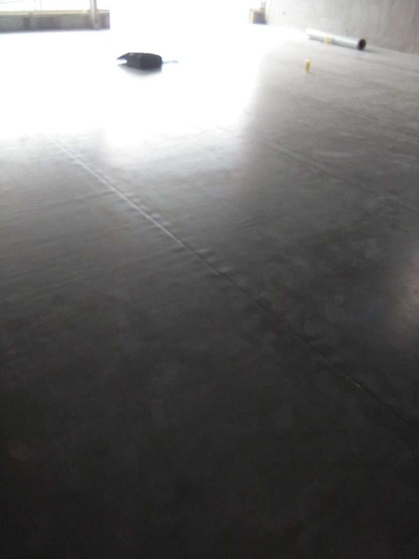 陳露滑冰俱樂部舞蹈地膠鋪設案例