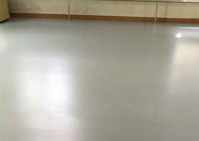 舞蹈地膠--上海市閔行區顓橋中心小學成功案例