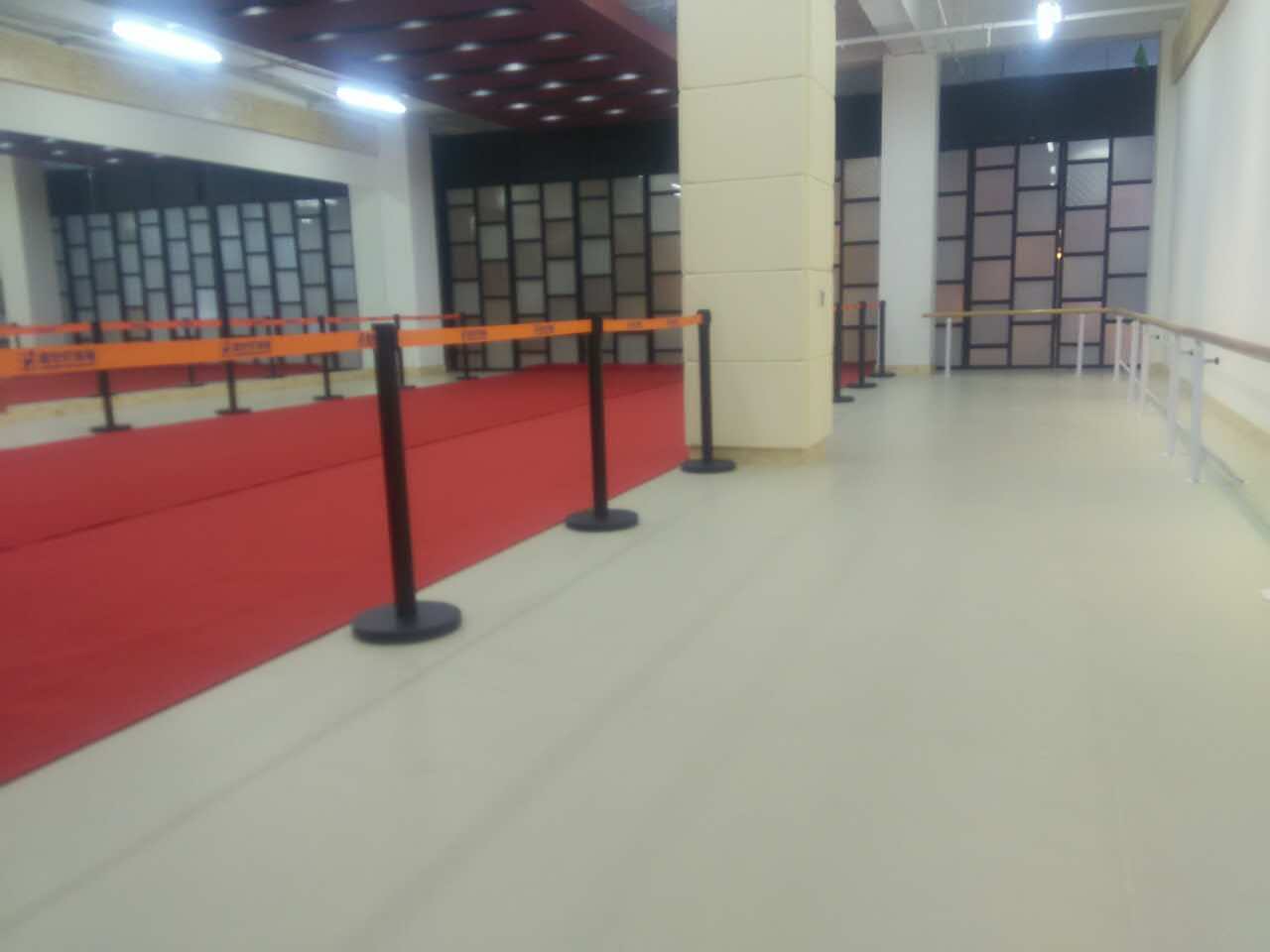 舞蹈地膠--廊坊文聯(lián)美術(shù)館成功案例