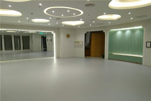 舞蹈地膠--上海晶之舞舞蹈工作室成功案例