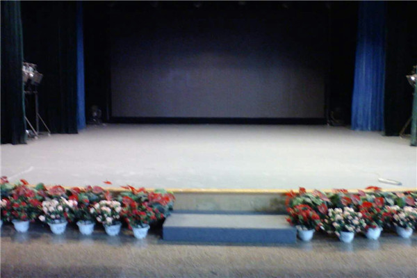 舞臺地膠--昆明市藝術學校成功案例