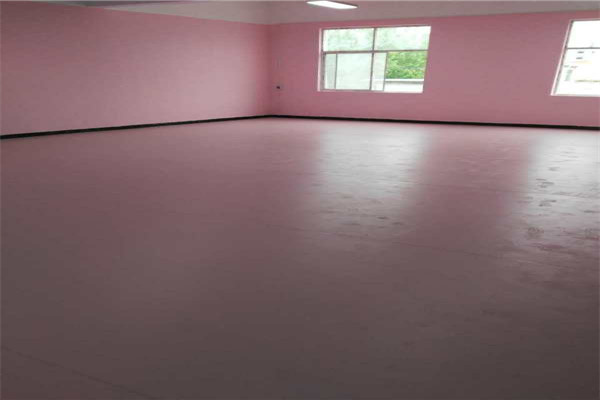 舞蹈地膠--河南洛陽(yáng)5678藝術(shù)學(xué)校成功案例