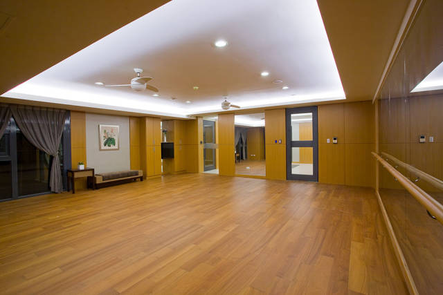 舞蹈地板，舞臺地板，舞蹈地膠 