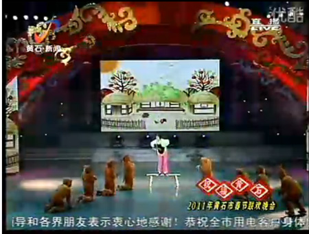 舞蹈地板，舞臺地板，舞蹈地膠 