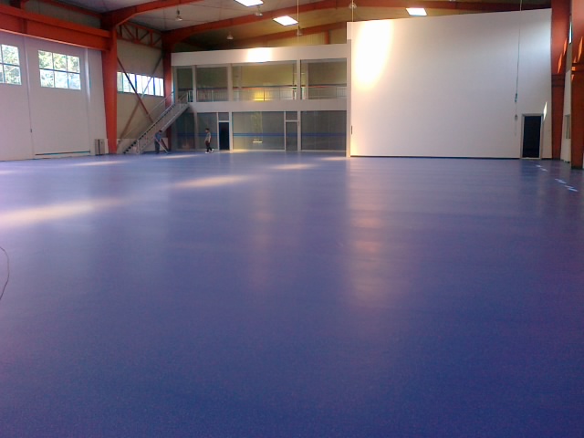 舞蹈地板，舞臺地板，舞蹈地膠 