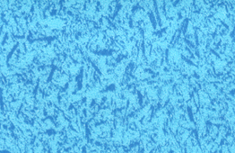 舞蹈地板，舞臺地板，舞蹈地膠 