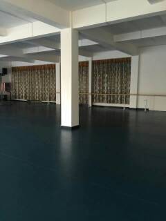 舞蹈地膠,舞蹈地板,舞蹈室地膠