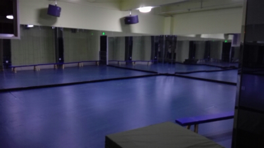 舞蹈教室地膠,舞蹈地膠