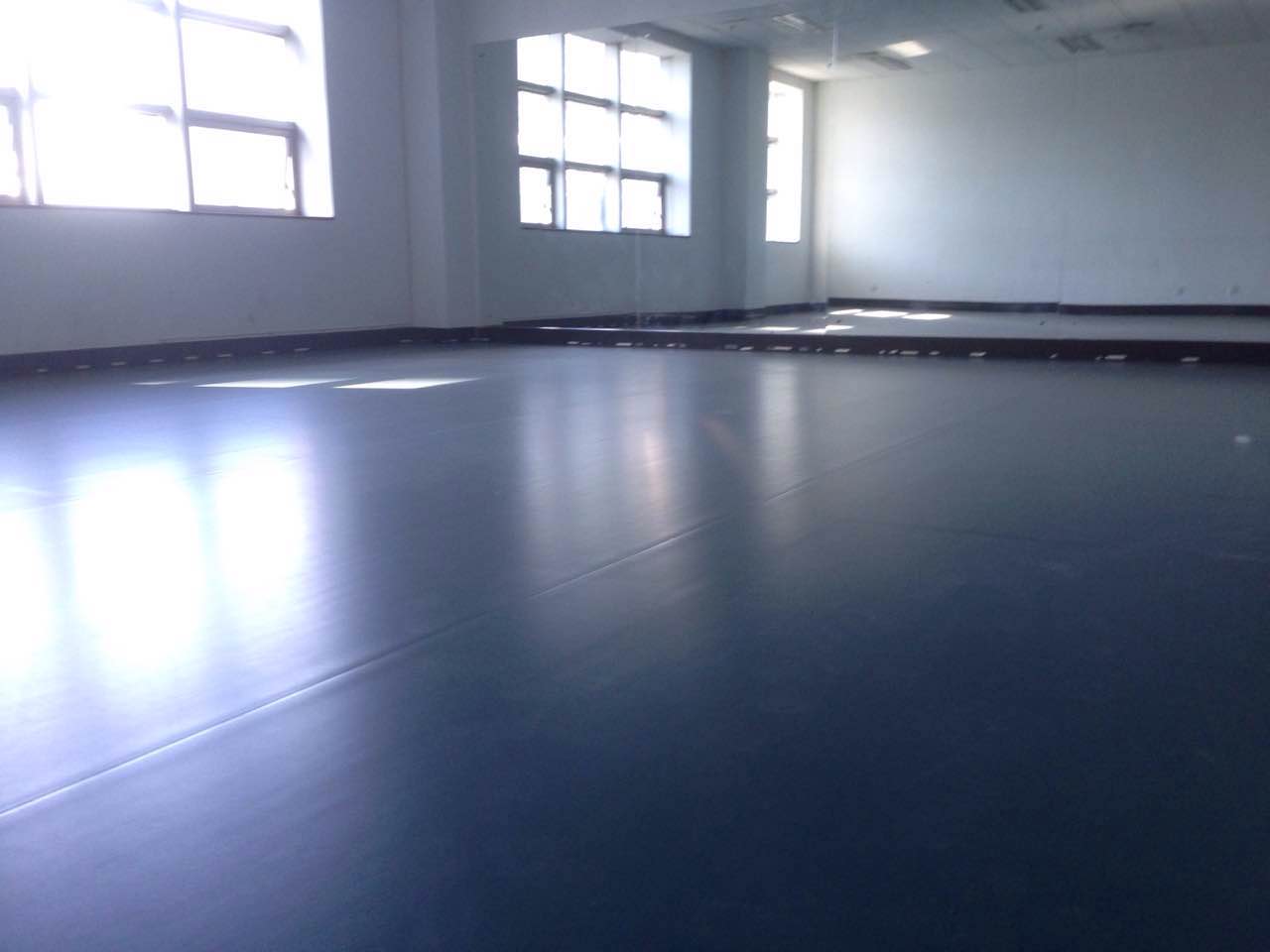 舞蹈地膠,舞蹈地板,舞蹈室地膠