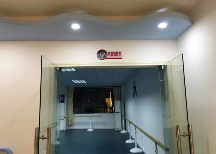 舞蹈室地膠,舞蹈地膠