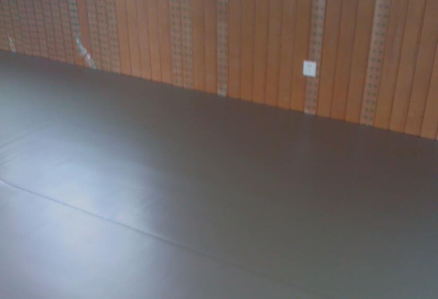 舞蹈地膠,舞蹈室地膠