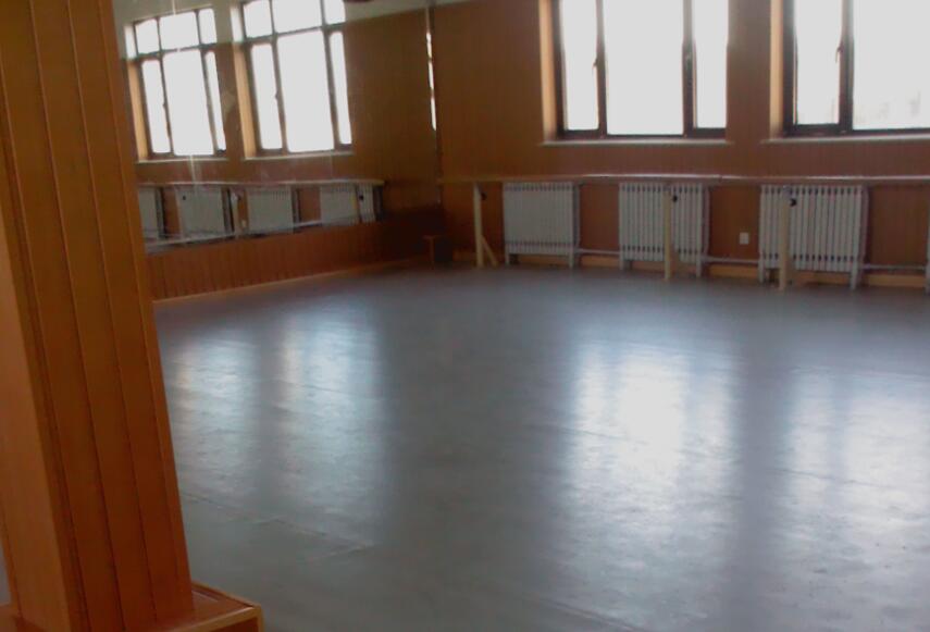 舞蹈地膠,舞蹈室地膠