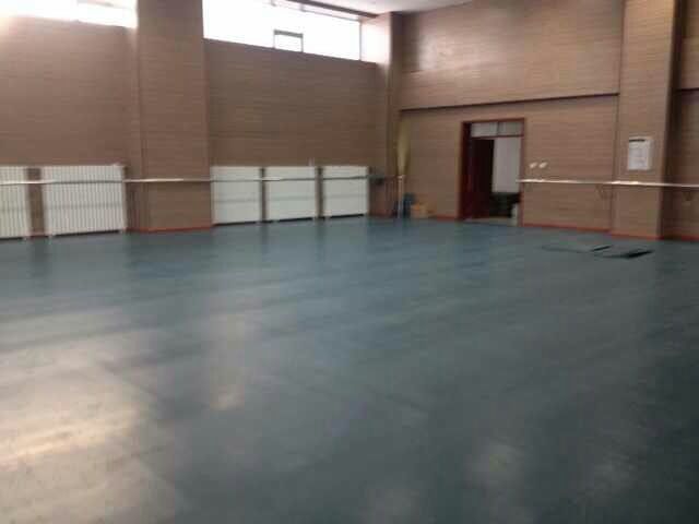 舞蹈室地膠,舞蹈地膠