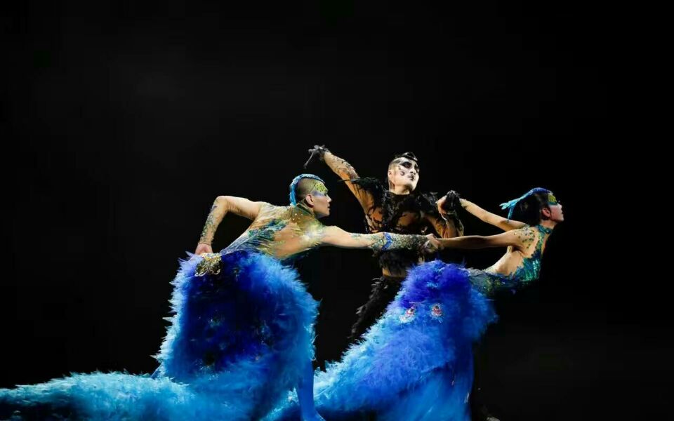 舞臺地膠,舞蹈地膠