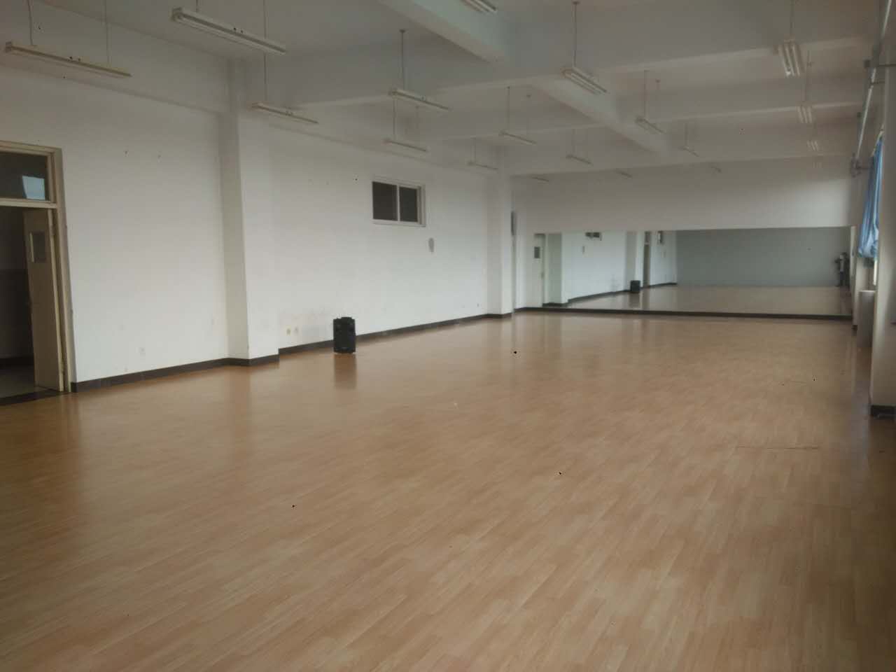 舞蹈室地膠,舞蹈地膠