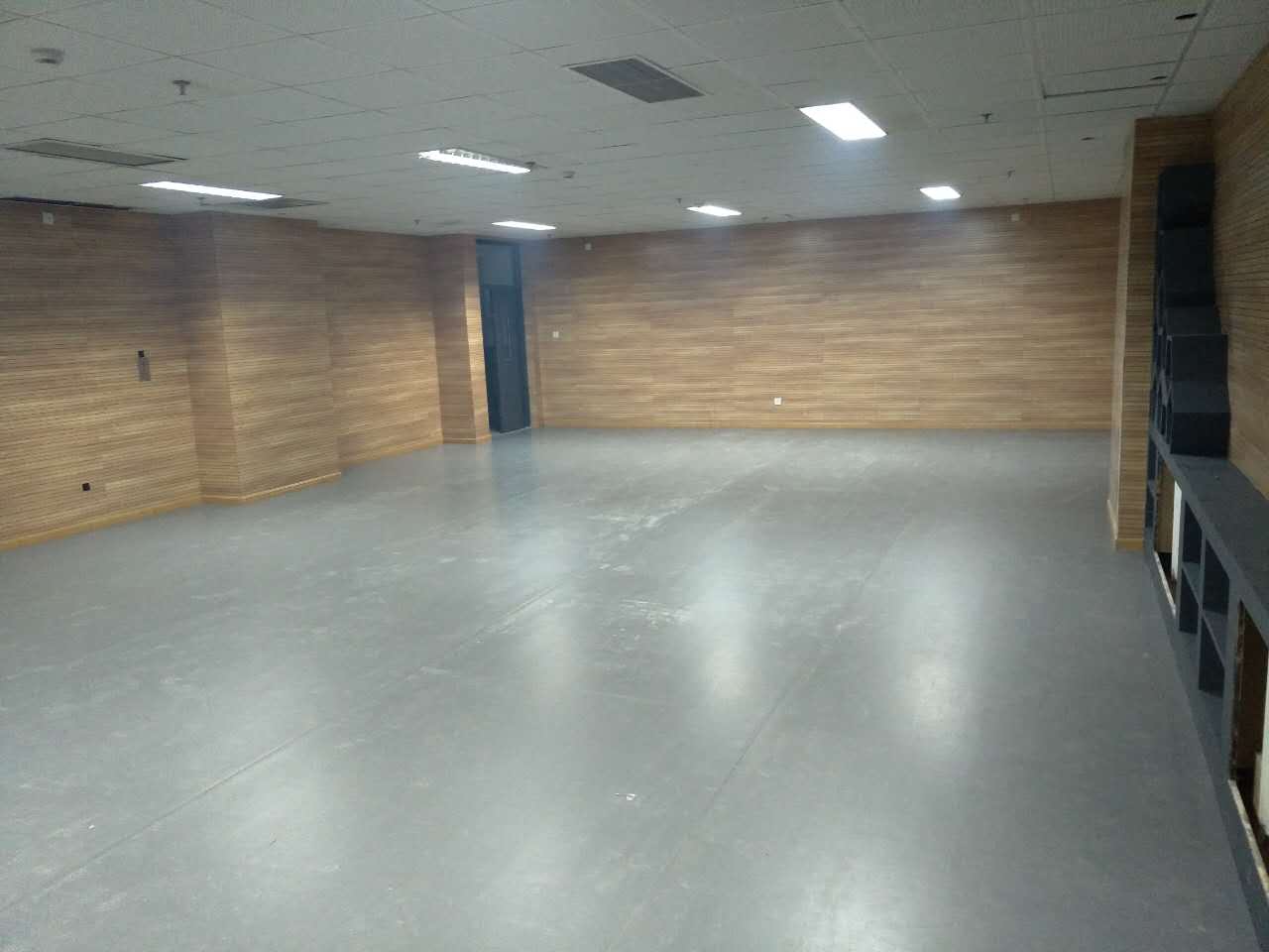 舞蹈地膠,舞蹈室地膠