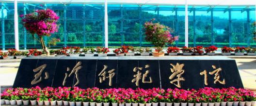 舞蹈地膠,舞蹈室地膠